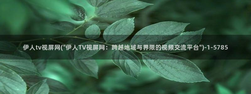 亚洲久久洲影院伊人：伊人tv视屏网(\